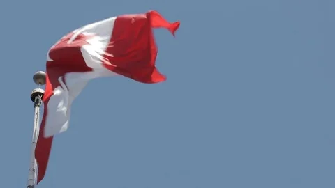 Canadian flag blowing in the wind Video stock 77525935