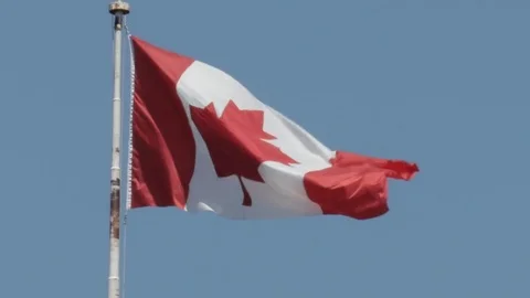 Canadian flag blowing in the wind Stock Footage 77526000