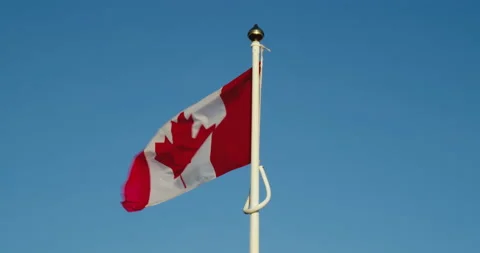 Canadian Flag Blowing In The Wind Stock Footage 151993570