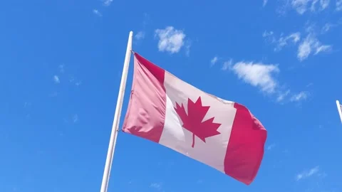 Canadian flag blowing in the wind Stock Footage 173582753