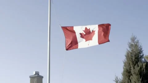 Canadian flag blowing in the wind at half mast 库存影片 239373402