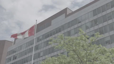 Canadian Flag blows in the wind Stock Footage 188912460