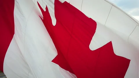 Canadian flag close-up Stock Footage 150012289