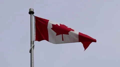 Canadian flag on a flagpole - 4K close-up Stock Footage 221669778