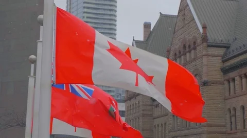 Canadian flag flapping on cold winter snow falling day 01 스톡 동영상 99066659