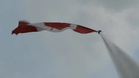 Canadian Flag Flapping in the Wind Stock Footage 112948833