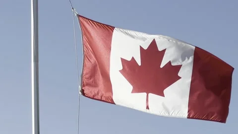Canadian flag flapping in the wind 库存影片 239373396
