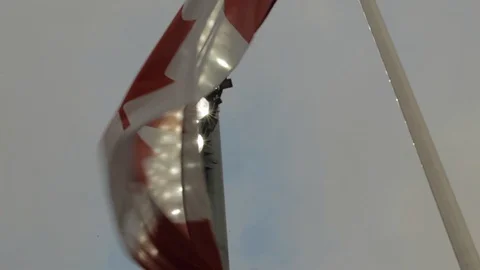 Canadian Flag Flapping in the Wind in Front of Stadium Light Stock Footage 112949261