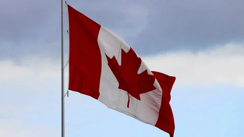 Canadian Flag Flowing in Wind Stock Footage 137069950