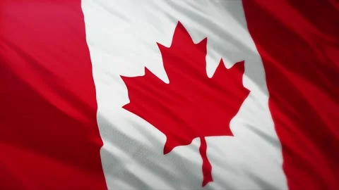 The Canadian flag is flying Stock Footage 220404765