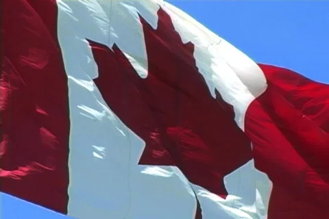 Canadian Flag 스톡 동영상 137035