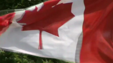 Canadian flag Stockbeeldmateriaal 398105
