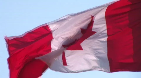 Canadian flag Stock Footage 559343