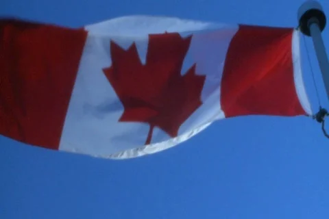Canadian flag  動画素材 582753