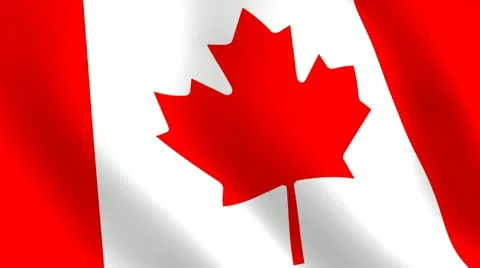 Canadian flag Vídeos de archivo 10891405