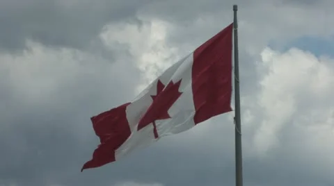 Canadian Flag Stock Footage 11495516