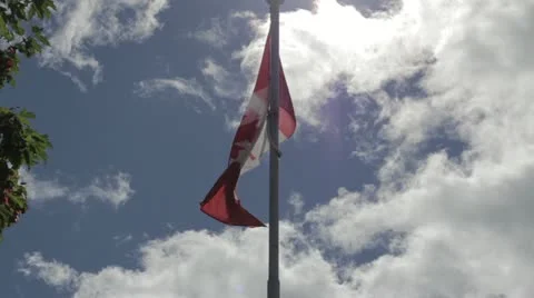 Canadian Flag Vídeo Stock 11885971