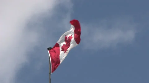 Canadian Flag 動画素材 31918662