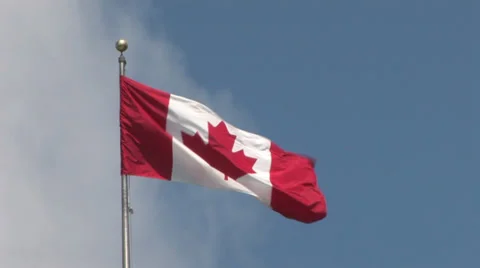 Canadian Flag 스톡 동영상 31918716