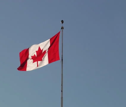 Canadian Flag 스톡 동영상 55299339