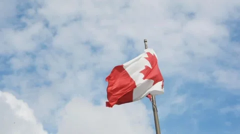 Canadian Flag Vidéo 55531610