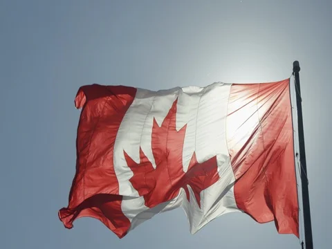 Canadian Flag Stock Footage 78223411