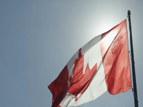 Canadian Flag Stock Footage 78223447