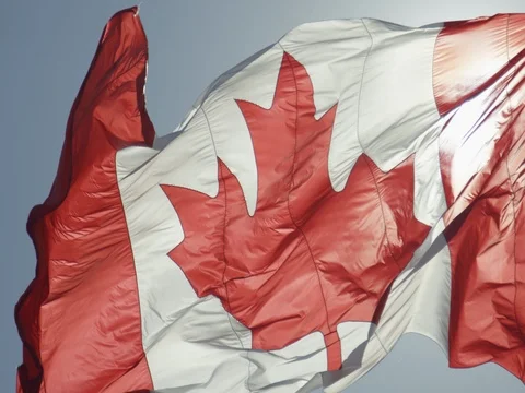 Canadian Flag Stock Footage 78223545