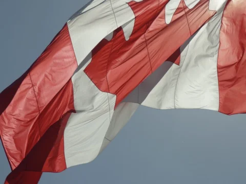 Canadian Flag Stock Footage 78223567