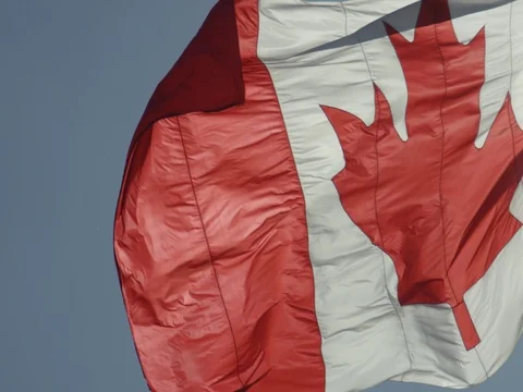 Canadian Flag Stock Footage 78223618
