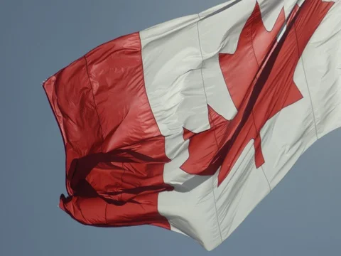 Canadian Flag Stock Footage 78223666