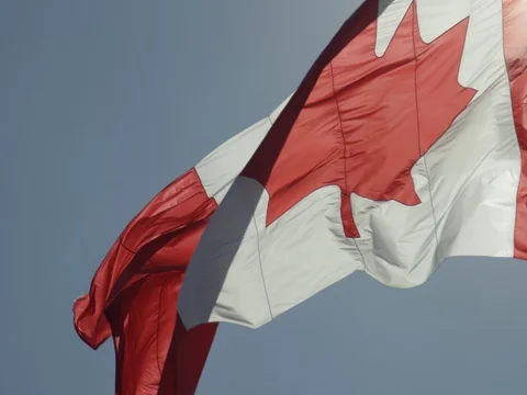 Canadian Flag Stock Footage 78223680