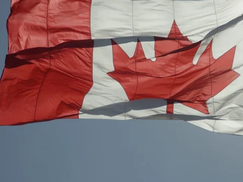 Canadian Flag Stock Footage 78223727