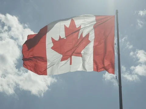 Canadian Flag Stock Footage 78223963