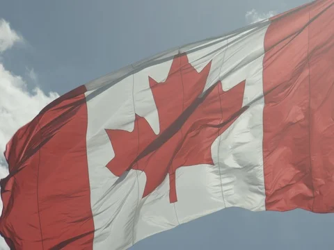 Canadian Flag Stock Footage 78224183