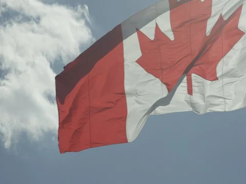 Canadian Flag Stock Footage 78224279