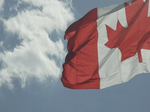 Canadian Flag Stock Footage 78224385