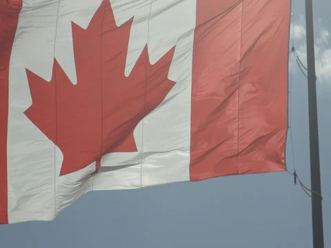 Canadian Flag Stock Footage 78224434