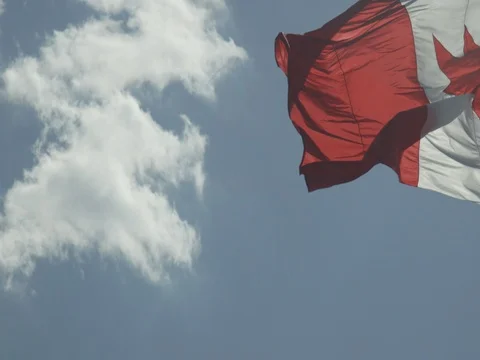 Canadian Flag Stock Footage 78224498