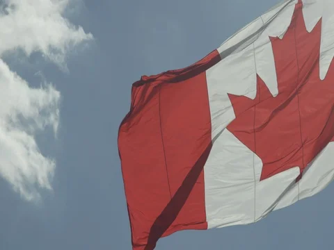 Canadian Flag Stock Footage 78224616