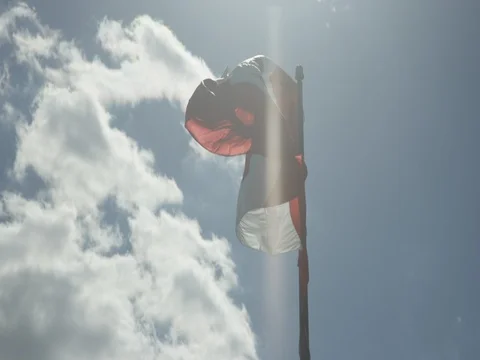 Canadian Flag Stock Footage 78224711