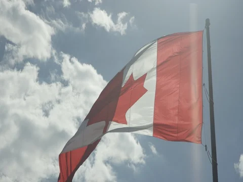 Canadian Flag Stock Footage 78224860