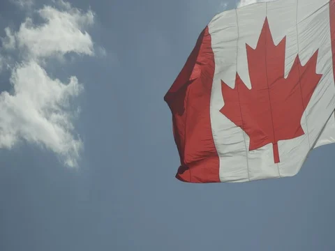 Canadian Flag Stock Footage 78225257