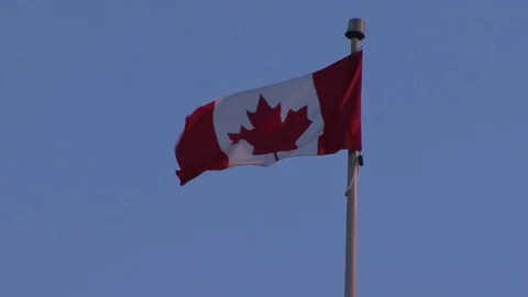 Canadian flag Stock Footage 82473793