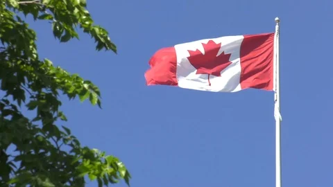 Canadian Flag 動画素材 90867969