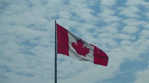 Canadian flag Stock Footage 118813210