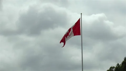Canadian flag. 스톡 동영상 145287960