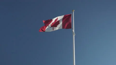 Canadian Flag Video stock 157462071