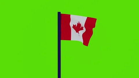 Canadian flag 스톡 동영상 256225849
