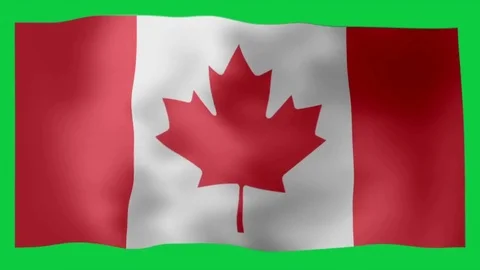 Canadian Flag Looping Animation 库存影片 77069911